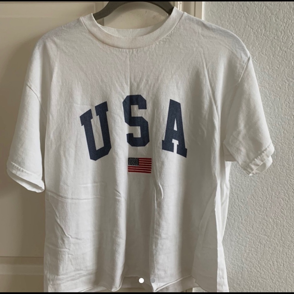 brandy melville crop top